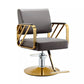 WL-S2265 | Styling Chair Salon Chairs SSW Gray and Gold 