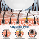 Illustration of hair follicles and scalp with text about accurately checking hair condition.