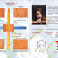 Second page of the manual for the SSW ML-911 Advanced Hair and Scalp Analyzer, providing step-by-step usage guidelines.