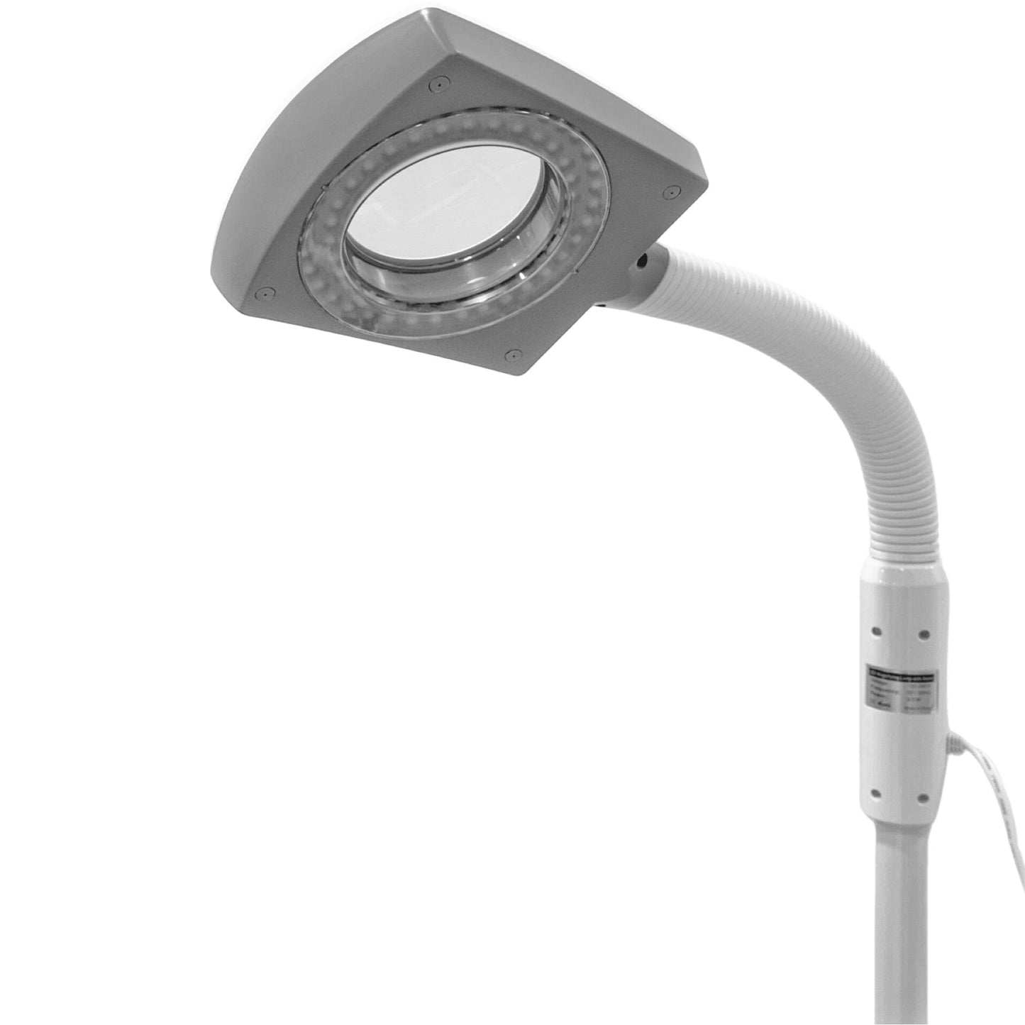 JY-191B | Magnifying Lamp Magnifying Lamp SSW 