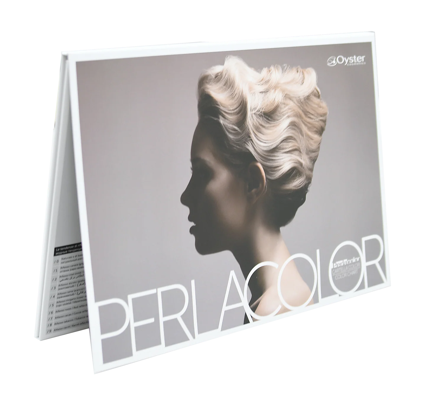 Image of the medium Perlacolor Color Swatch Book. 