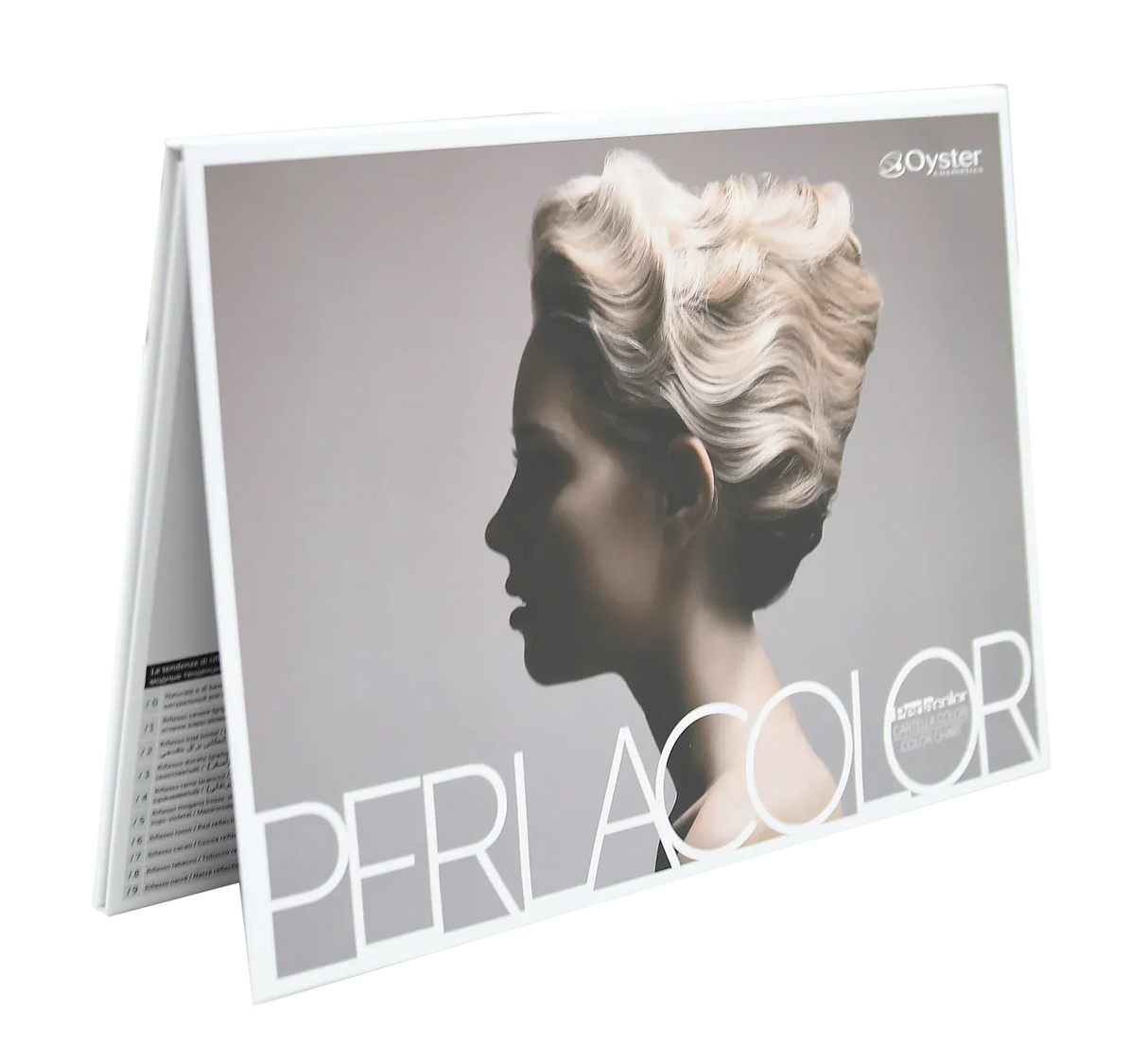 Image of the medium Perlacolor Color Swatch Book. 