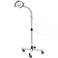 Main image of the SSW JY-191B Portable 3X Magnification LED Lamp. 