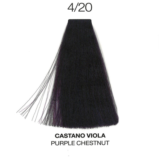 4/20 Purple Chestnut | Purity | Ammonia-Free Permanent Hair Color HAIR COLOR OYSTER 