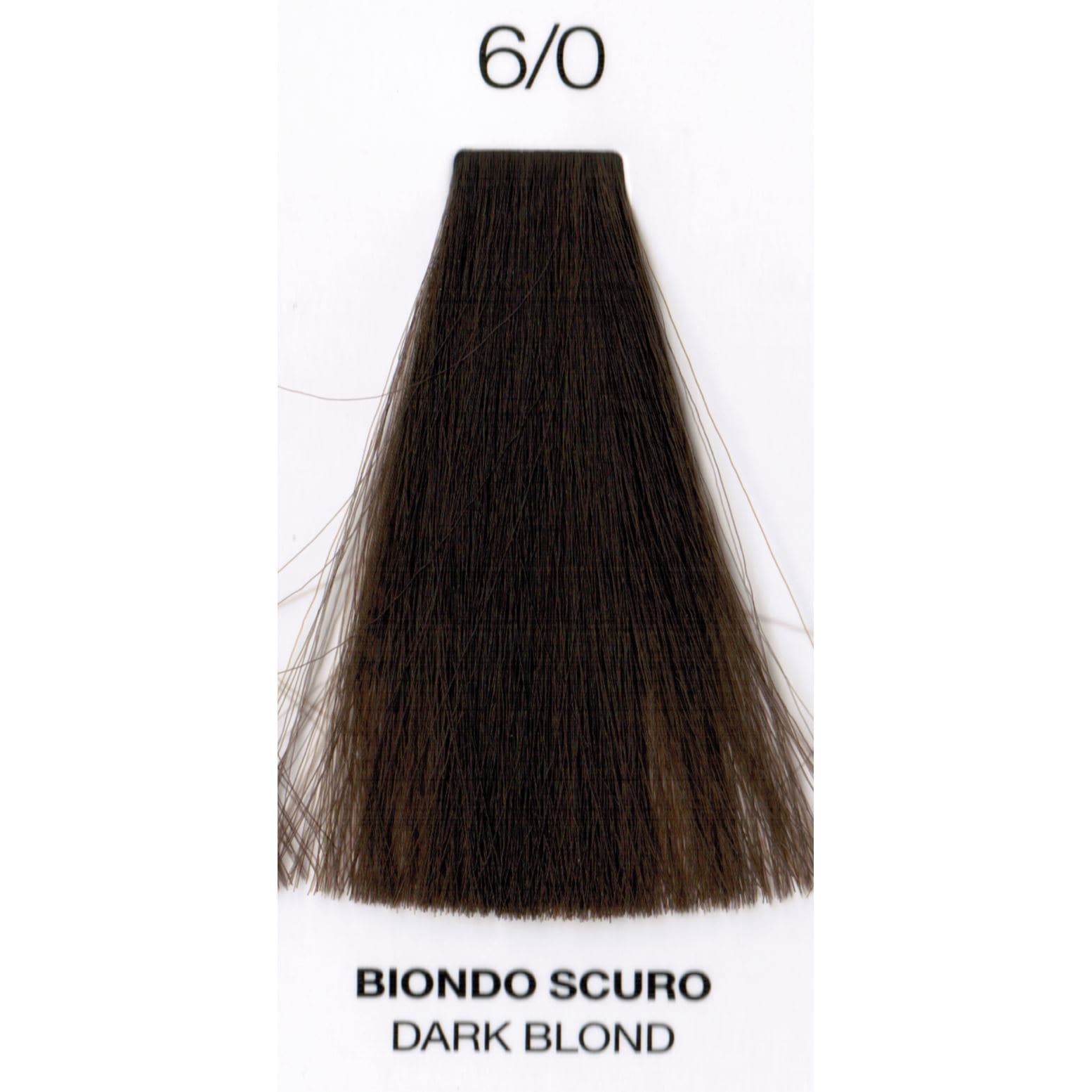 6/0 Dark Blonde | Purity | Ammonia-Free Permanent Hair Color HAIR COLOR OYSTER 