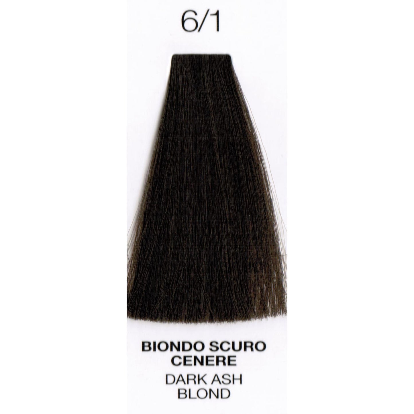 6/1 Dark Ash Blonde | Purity | Ammonia-Free Permanent Hair Color HAIR COLOR OYSTER 