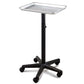 BEP-005 | Professional Aluminum Salon Rolling Utility Trolley/Tray/Cart Trolley SSW 