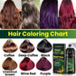 Chestnut Brown Hair Color Shampoo 3 in 1 | 500ml / 16.9 Fl Oz | Herbal Ingredients | Instant 100% Grey Hair Coverage | AUGEAS Hair Color AUGEAS 