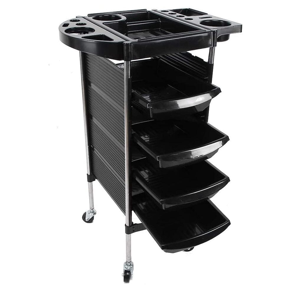 DK-38019 | Trolley | 5 Layer Hairdressing Trolley TROLLEY SSW 