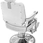 DY-31905TWG5 Barber Chair SSW 