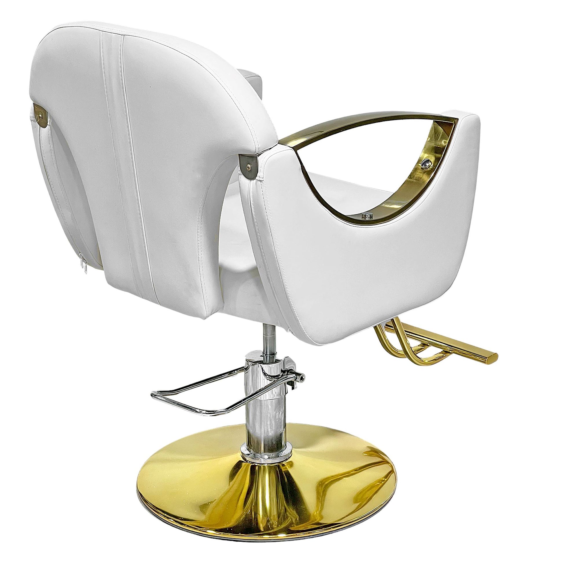 HF-2021 | Styling Chair Salon Chairs SSW 