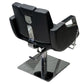 M-2216A | All Purpose Chair ALL PURPOSE CHAIRS SSW 