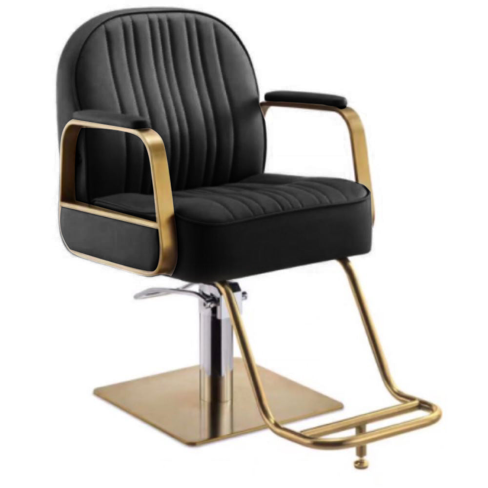 S218G | Styling Chair Salon Chairs SSW 