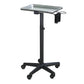 T-011B | Professional Aluminum Salon Rolling Utility Tray TROLLEY SSW 